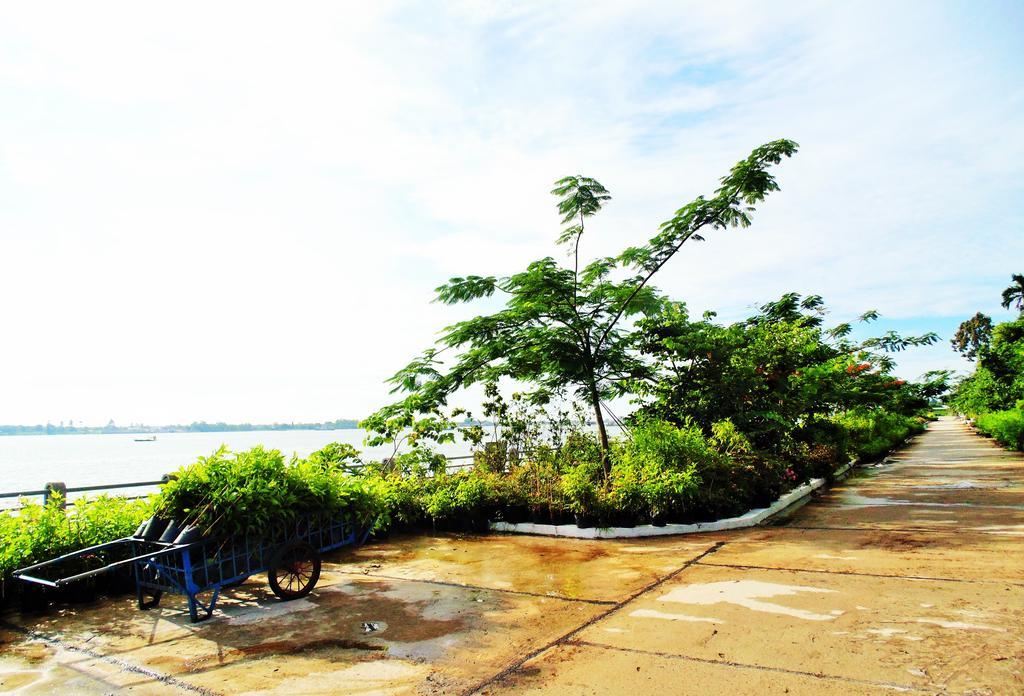 Flower & Frog Homestay Sa Dec Ngoại thất bức ảnh