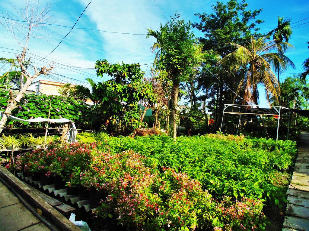 Flower & Frog Homestay Sa Dec Ngoại thất bức ảnh