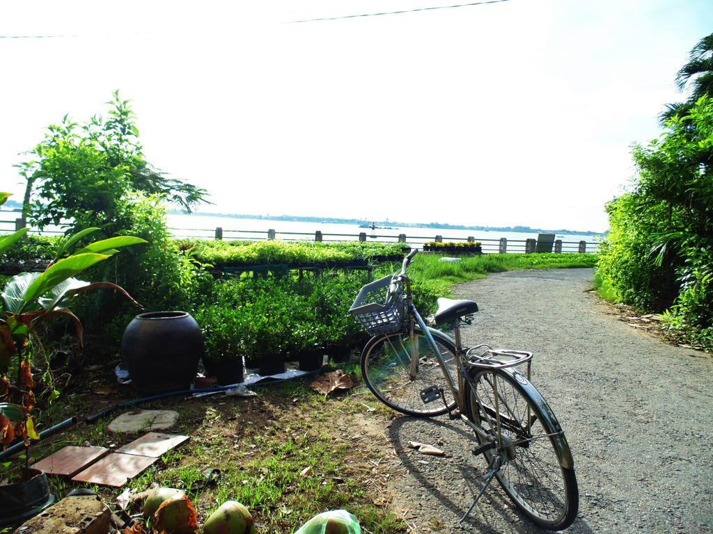 Flower & Frog Homestay Sa Dec Ngoại thất bức ảnh