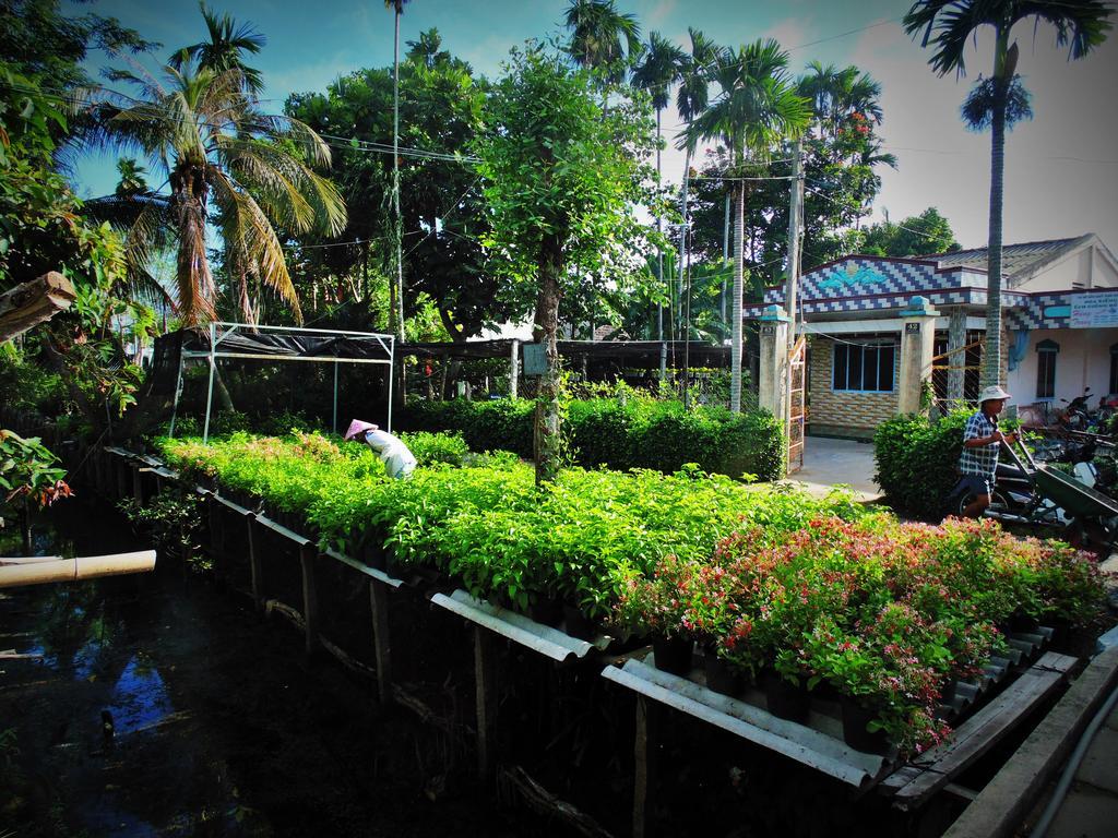 Flower & Frog Homestay Sa Dec Ngoại thất bức ảnh